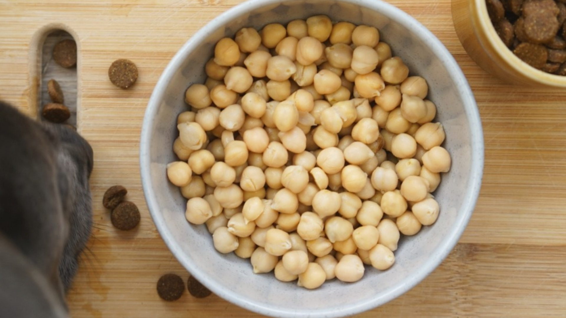is chickpea flour good for dogs